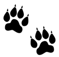 LittleLionsteppers