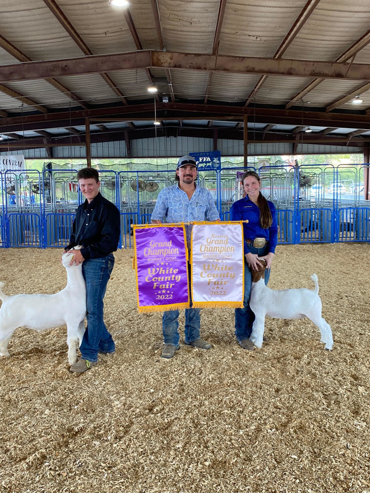 SHS FFA Earns White County Fair Awards Searcy School District